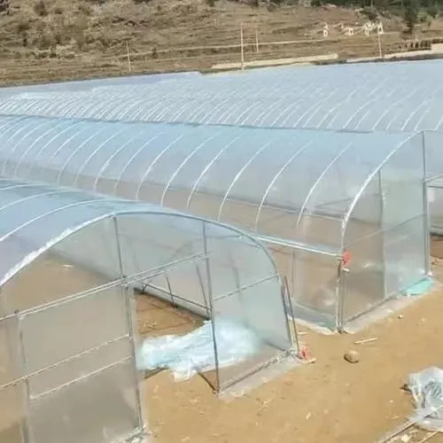 2025년형 단일 구조 채소 재배 온실, 개별 유닛용 두꺼운 용융 아연 도금 강관 사용