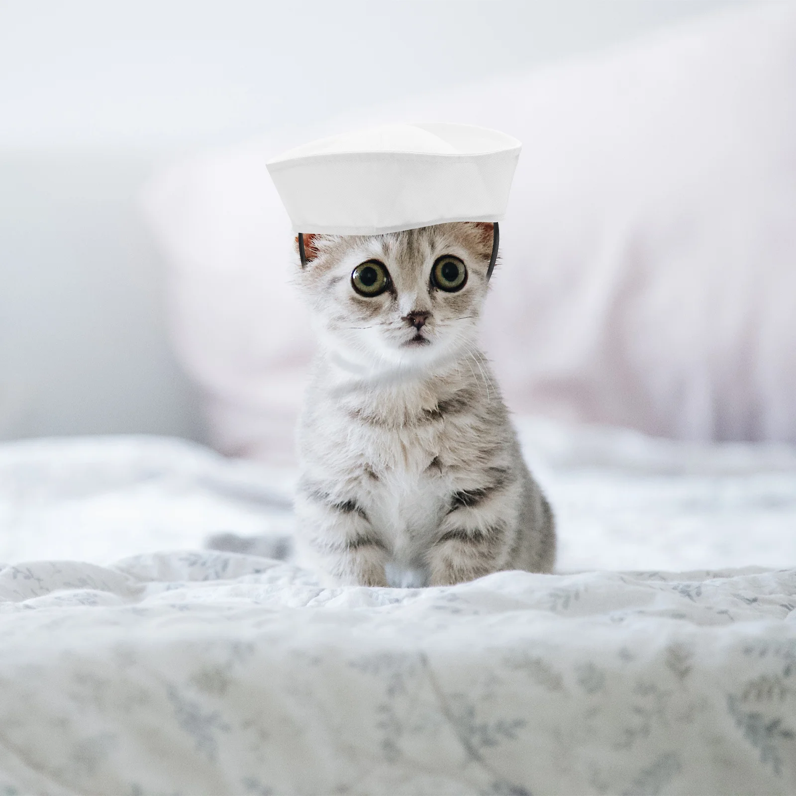 

1pc Mini Pet Hat Dog Cat Carnival Party Accessory Halloween Cosplay Costume Headwear Birthday Photo Shoot Decor