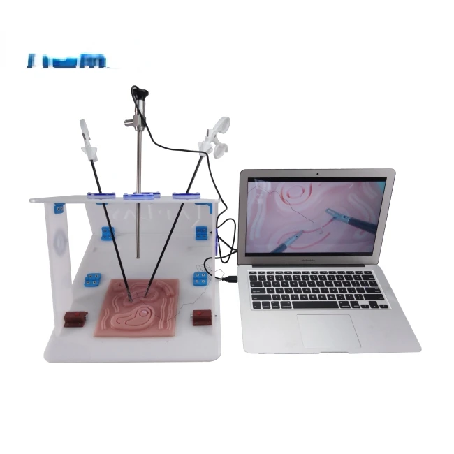 

Laparoscopic Endo Trainer with USB Endoscope Camera, Laparoscopic Suturing Training Simulator Box