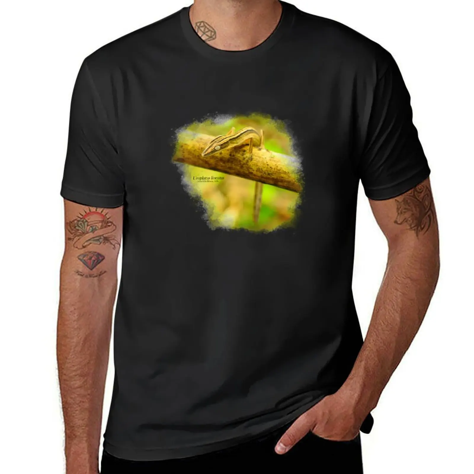 

Uroplatus lineatus Duméril & Bibron, 1836 T-Shirt plain oversized mens tall t shirts