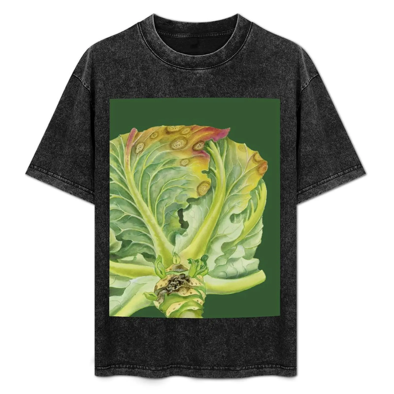 

Blackleg of Cabbage (cut away) T-Shirt Comfortable Basic Crew Neck Tee