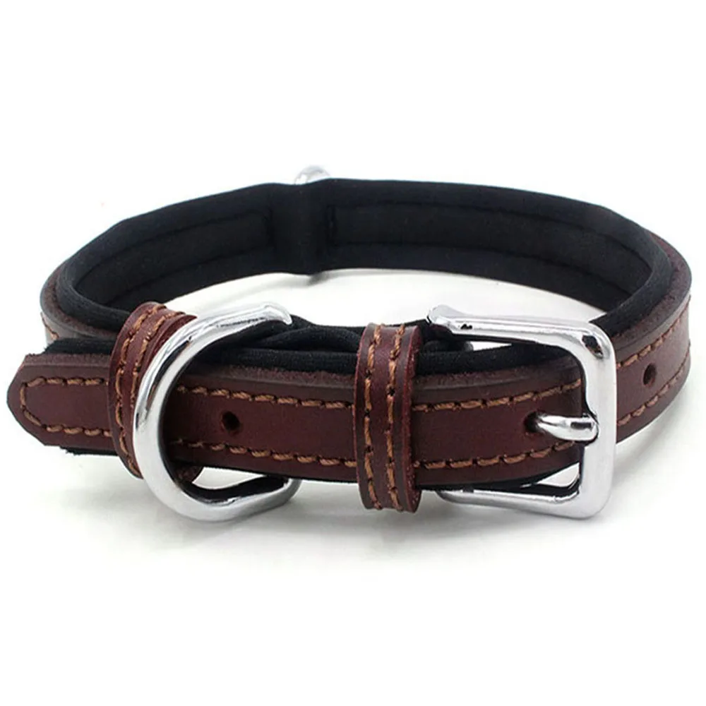 Collar para perro de neopreno acolchado con hebilla de metal_voghion.com