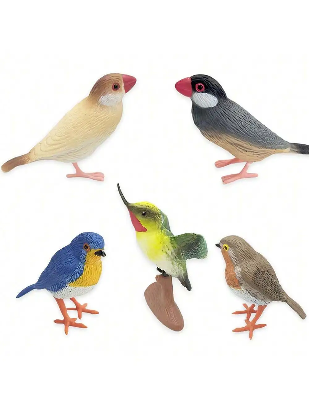 Realistic Solid Bird Models – Hummingbird, Finch, Robin Figurines for Scene Simulation, Desk & Home Decoration