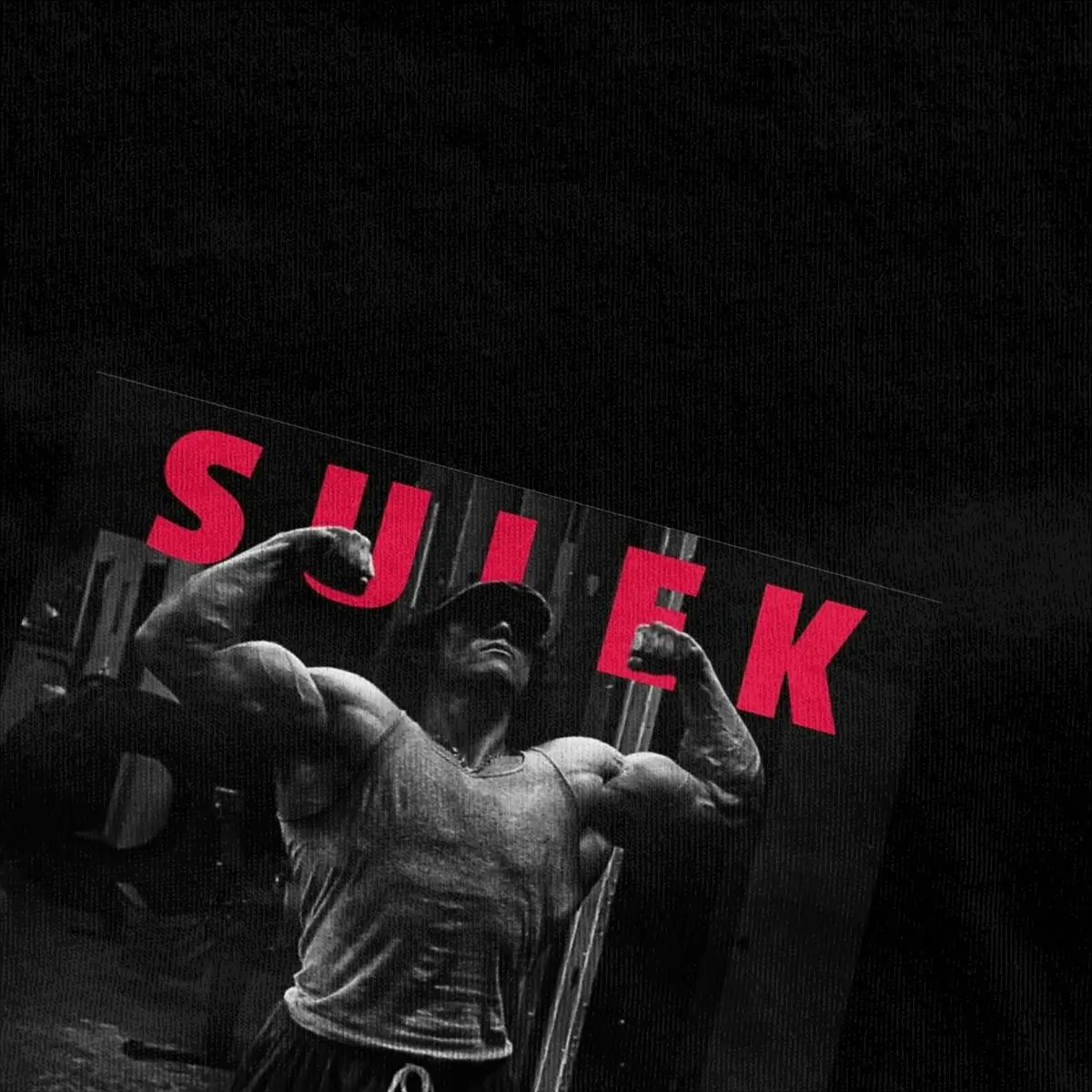 Mens T-Shirt Sam Sulek Inspiration T Shirts Hippie gym motivation Summer Tee Shirt Vintage Printed Cotton Tops Plus Size 6XL