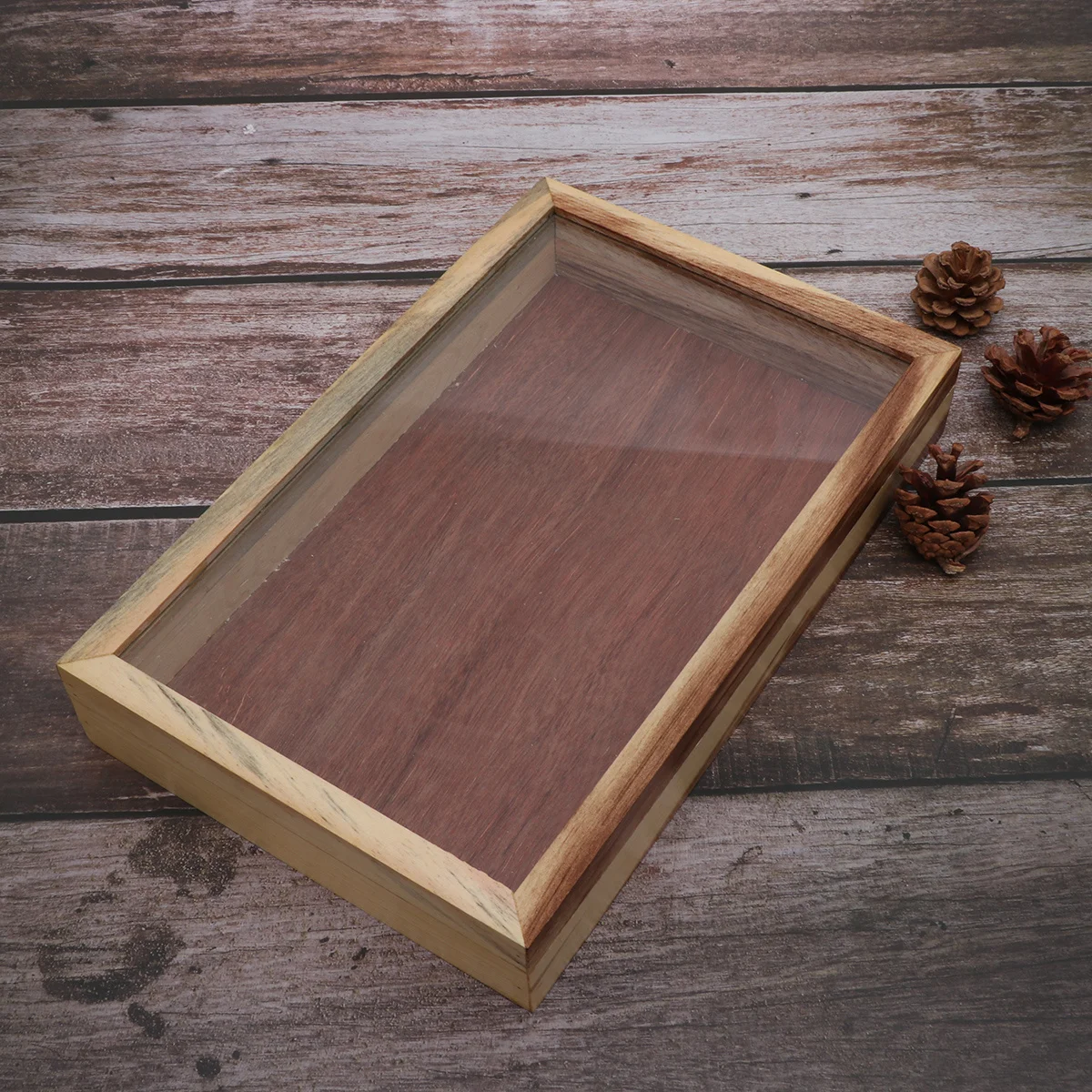

Wooden Specimen Easy- Plant Display Case For Cage Insect Branch Collection Education Tool Tool Parts