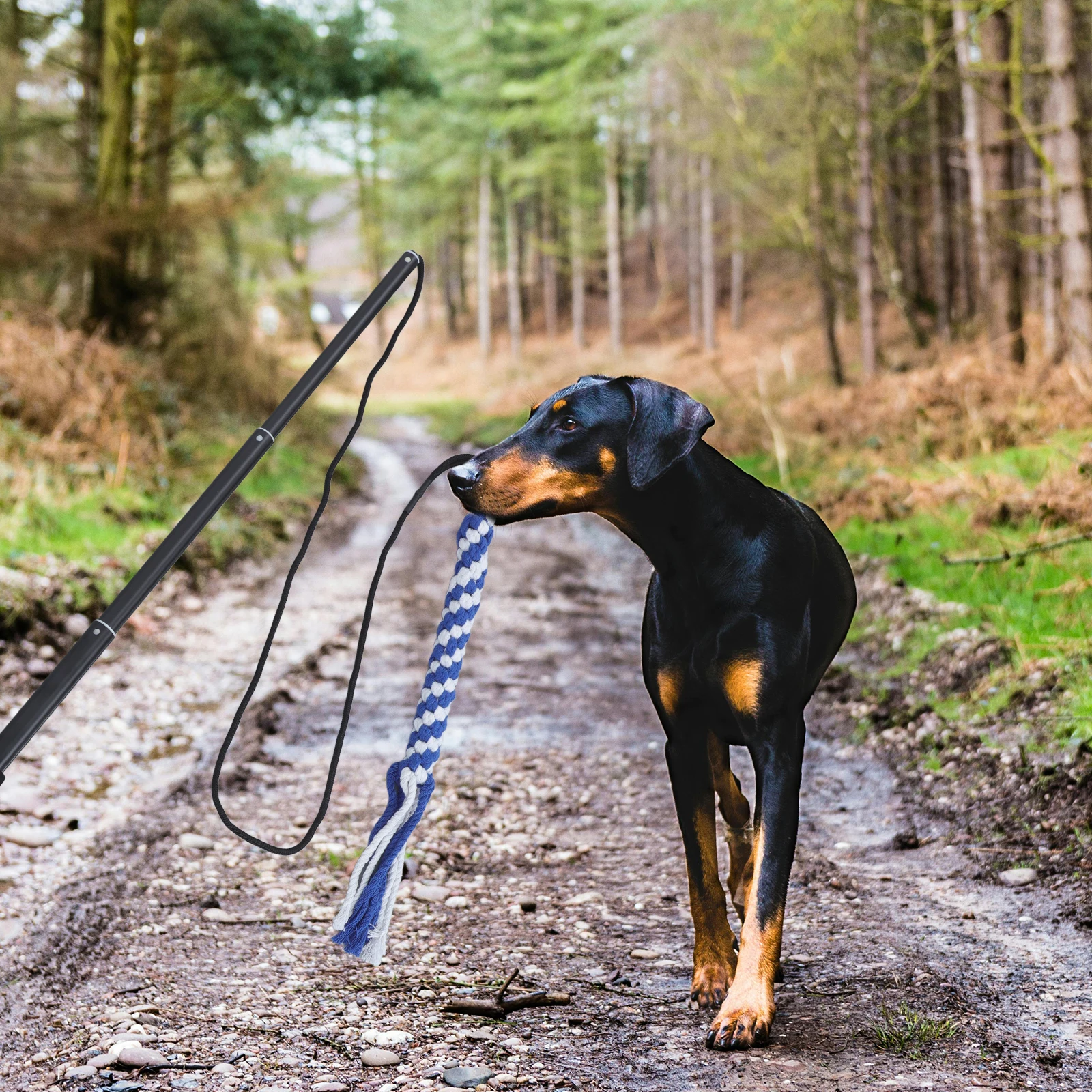 

Dog Stick Toys Flirt Pole for Chasing Teaser Wand Big Interactive Yard Stimulation Man