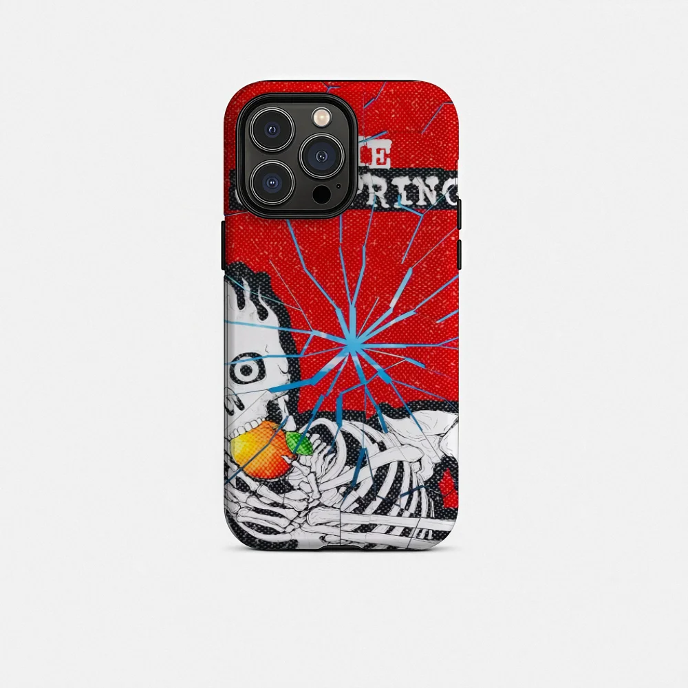 Luxury Phone Case for iPhone 16 15 14 13 12 11 Pro Max Plus Luxury Magnetic Double-layer Back The O-Offspring22 Cover