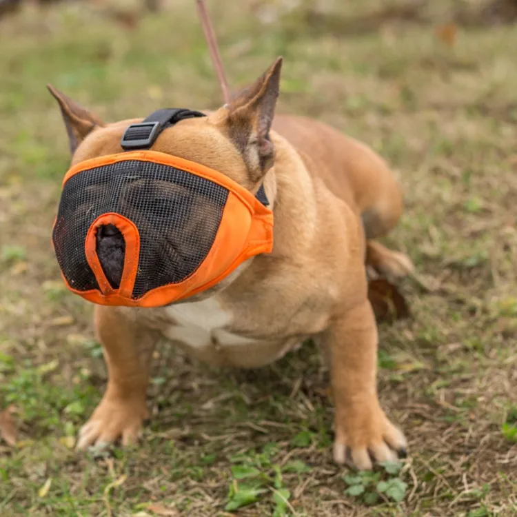 Short nasal dog special mask anti-bite and anti-barking, bulldog eye mask, small S Orange, grey Pet food utensils