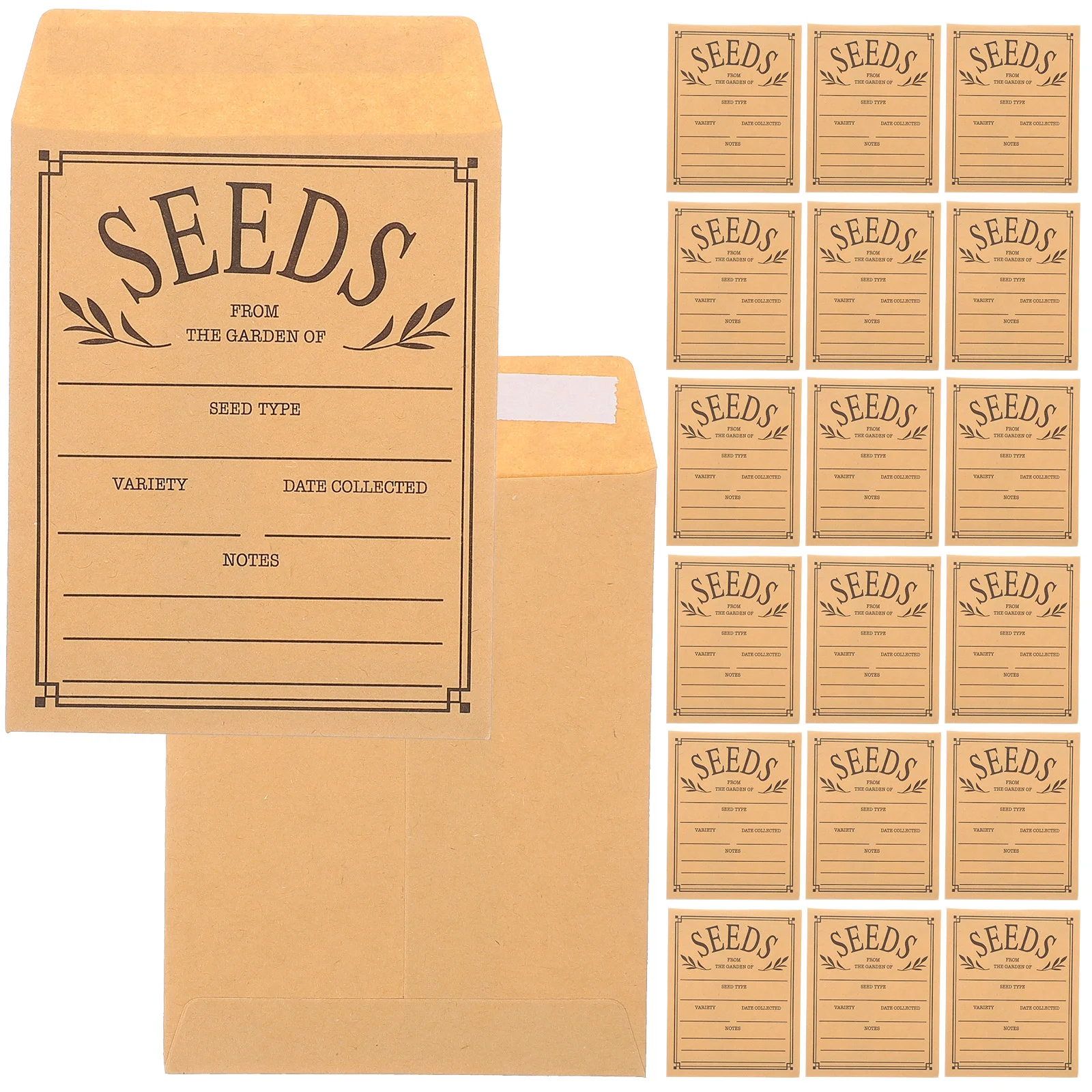 50 Pcs Envelopes Kraft Self Sealing Seed Storage Organizers Birthday Packets Mailing Cash for Seeds Paper Small Object