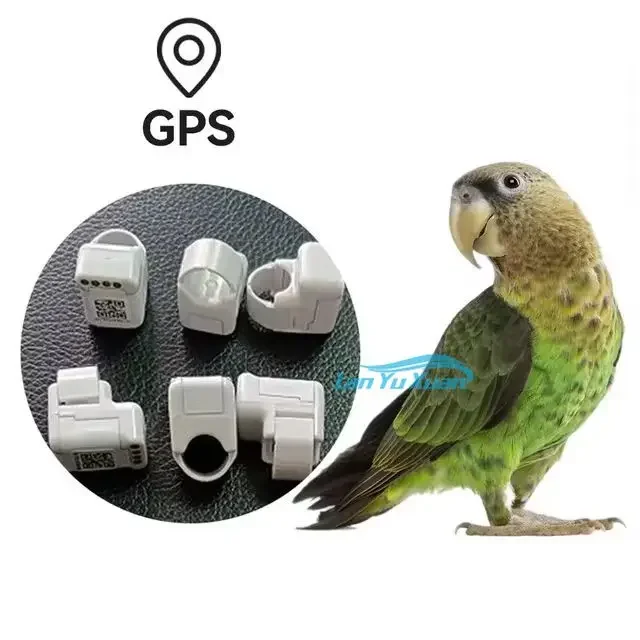 

1 шт. голубь умный GPS трекер кольцо для ног попугай птица сокол ворона голубь 110 мАч белый
