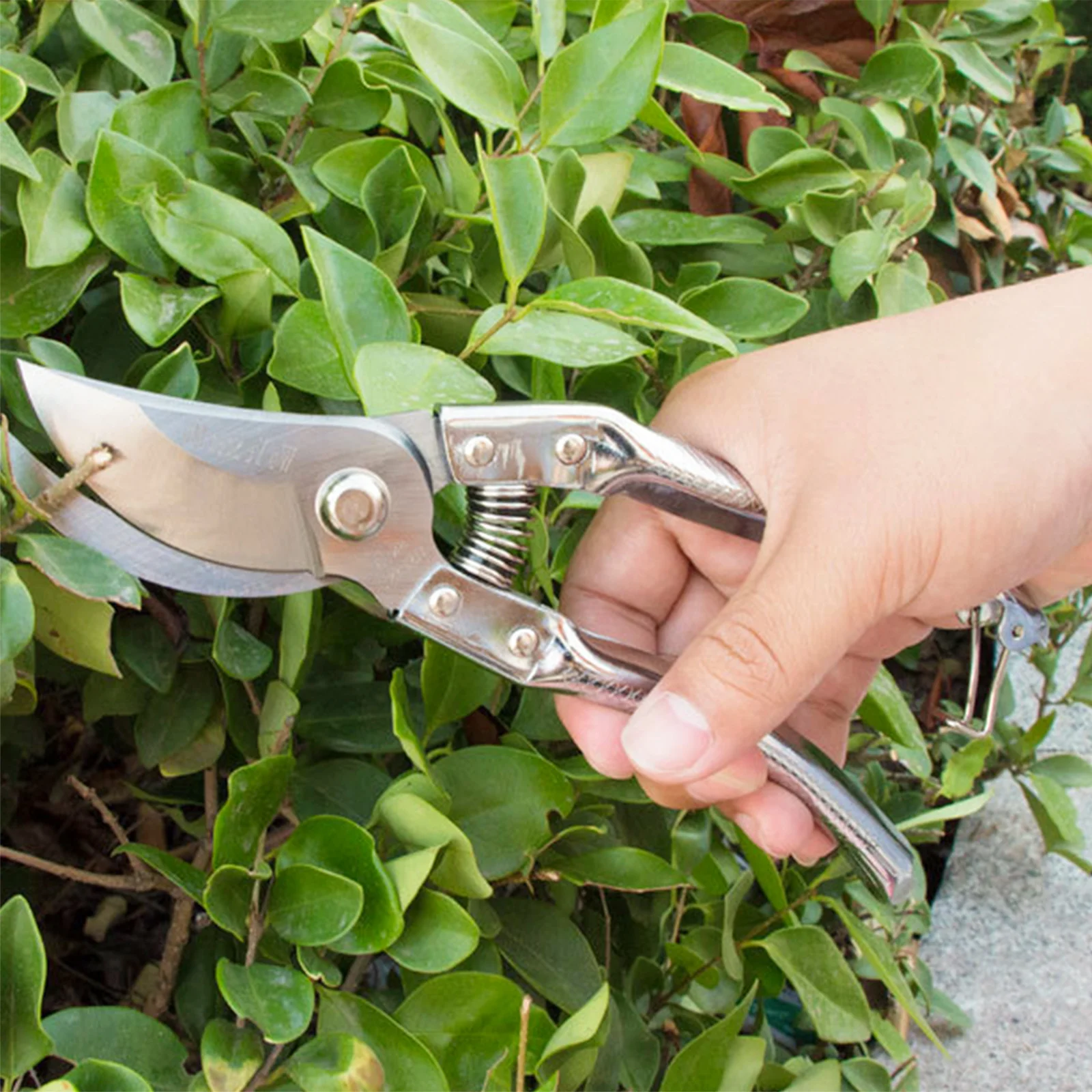 

1Pcs Heavy Duty Garden Pruner Sharp Pruning Shears for Plant Trimming and Shaping Professional Tree Trimming Tool Kit