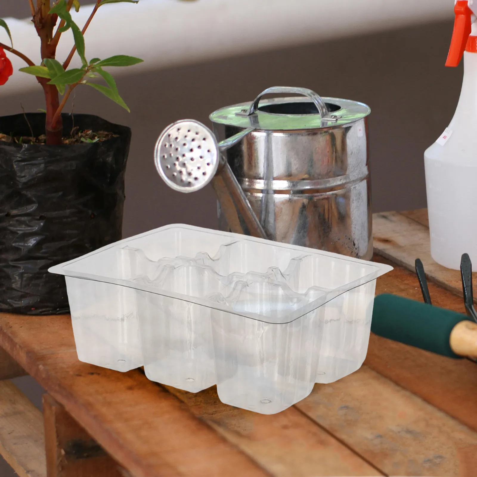 

30Pcs Transparent Plastic Seedling Trays with Drainage Holes 6-Cell Grow Trays for Indoor Plant Propagation Vegetable Flower