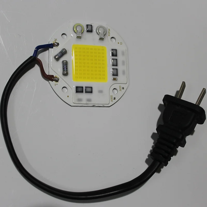 30W 50W LED COB Chips  Power Cold White Warm Light Without Driver AC 110V 220V Floodlight