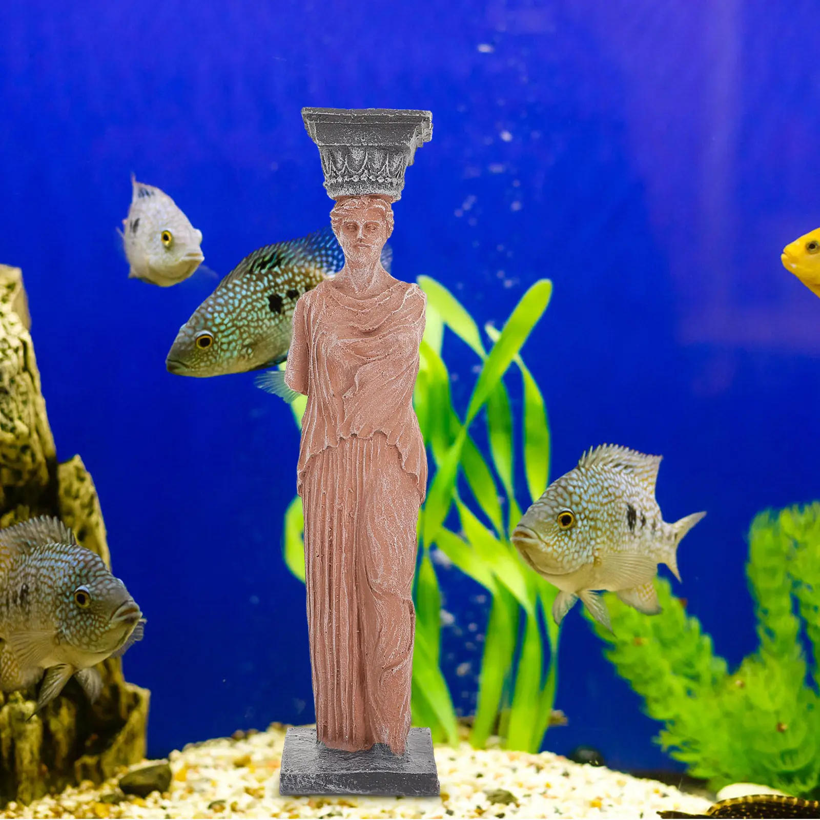 1Pcs Skull Aquarium Ornament Resin Fish Tank Decor Elegant Unique Sculpture Submersible Safe for Fresh Salt Water Vivid