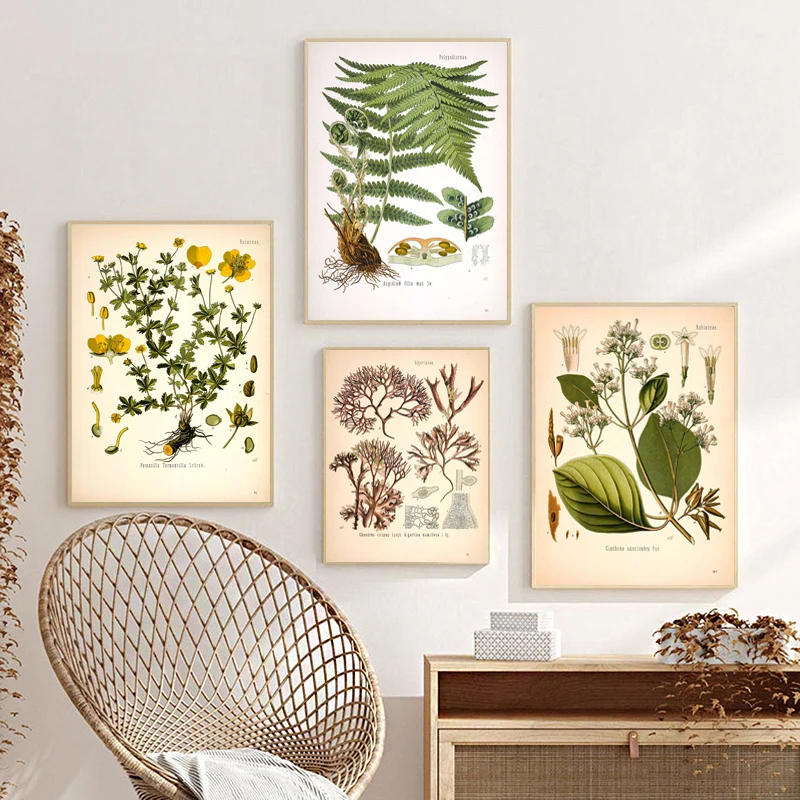 Affiches murales éducatives sur la botanique des plantes médicinales vintage, esthétique artistique, impression diamantée, pour salon, décoration moderne de la maison