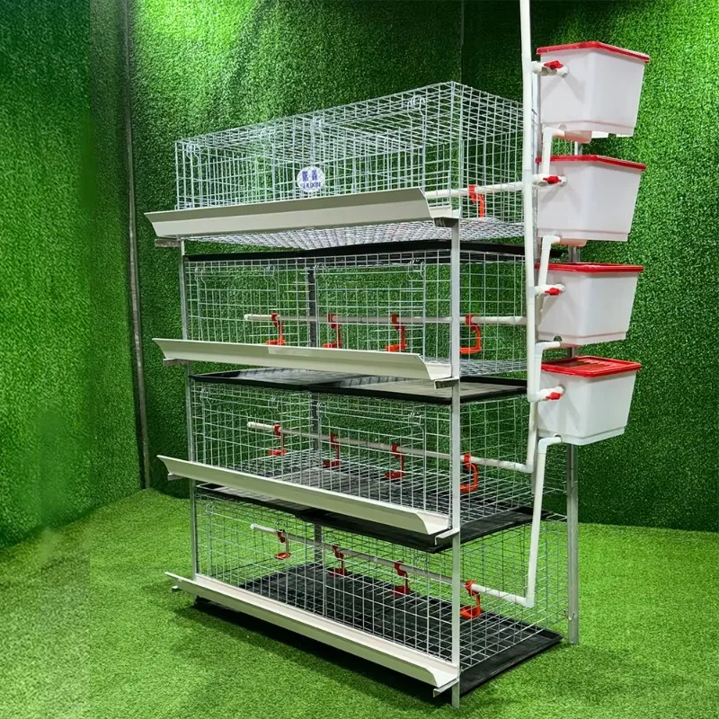 H Type Automatic System Battery Multi-Level Broiler Chicken Cage with Conveyer Belt for Home Use Retail Manufacturing Plant Farm