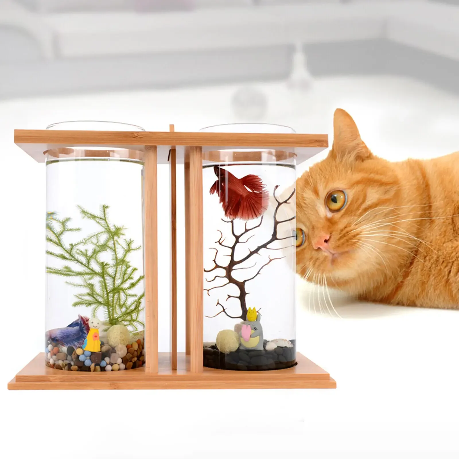 

Glass Betta Fish Tank Bamboo Base Mini Aquarium Fish Tank For Desktop fish tank aquarium tank