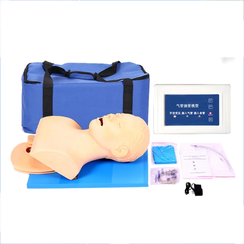 Intubation Manikin Study Teaching Model Airway Management Trainer PVC With Teeth 110-220V