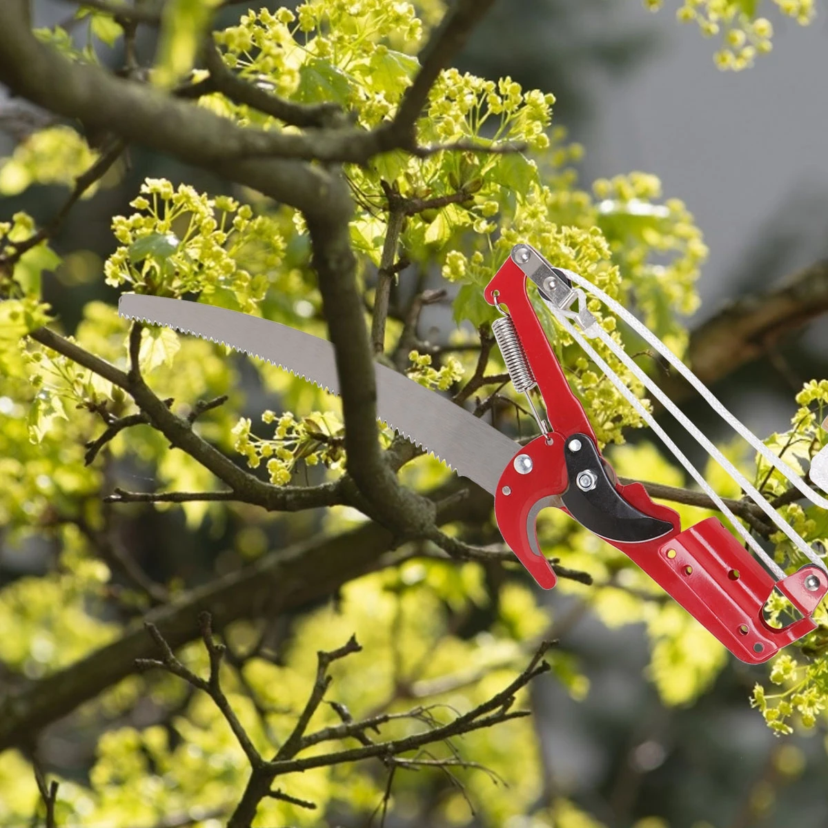

Saw Blade Pruners Cutters Branch Shears Shrubs Trimmer High Handheld Clippers Gardening