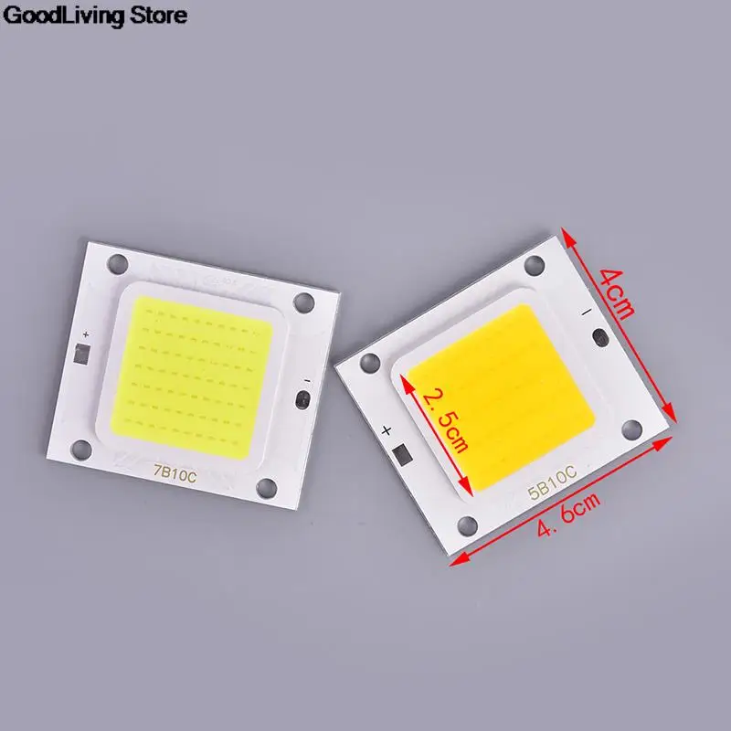 1PC Chip LED 20W 30W 50W 70W 100W lampa czip LED COB 220V światło halogenowe do reflektora światła źródła światła