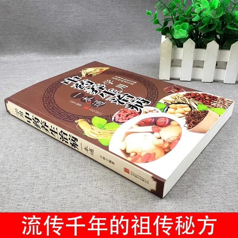 A Comprehensive Book on Traditional Chinese Medicine for Health Preservation and Treatment