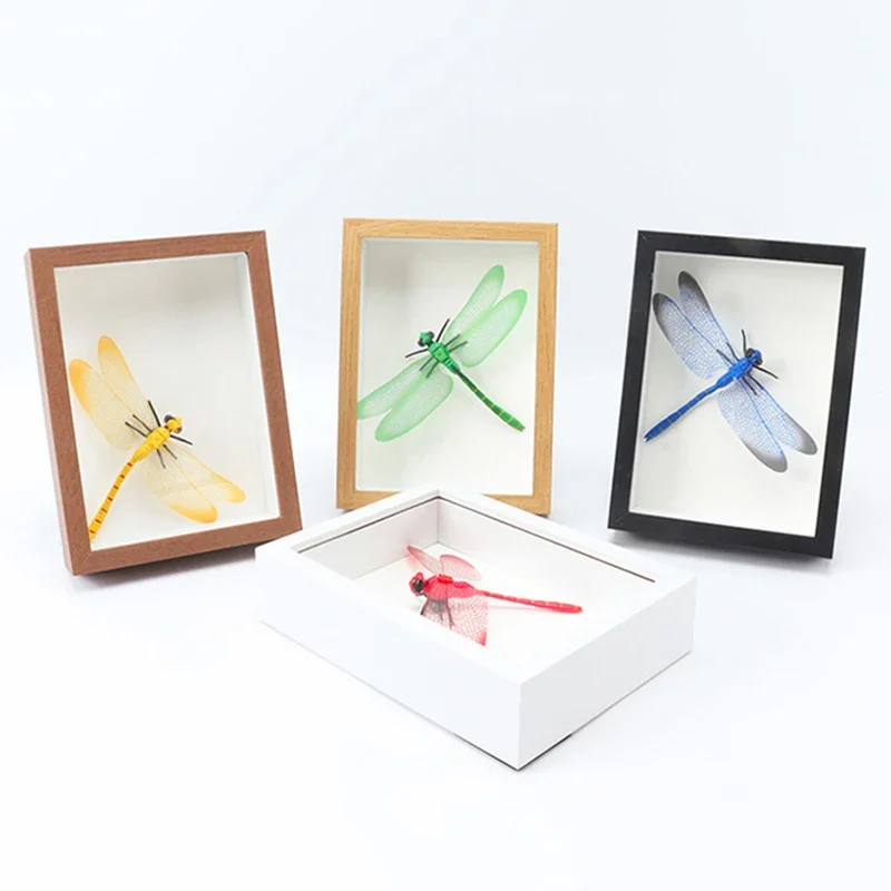 3D Hollow Photo Frame Specimen Wood Picture Frame Internal Depth 3cm Butterfly Dragonfly Dry Flower Frame portaretratos de fotos