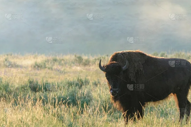 

4pcs 2.6-inch pressed metal tire wheel hub 12/17 coupler for 1/8 1/10 RC Crawler Car off-road vehicle mk07 4082 Upgrade Parts