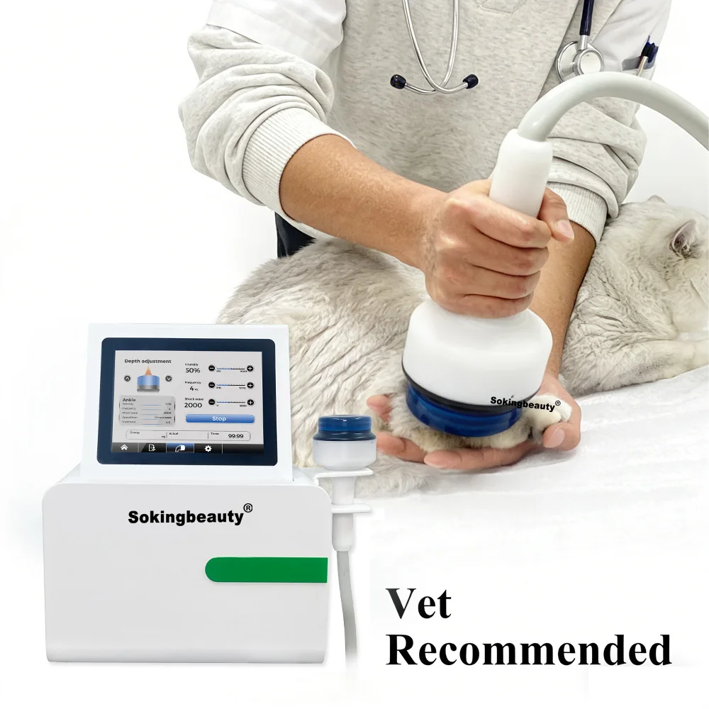 Innovative Animals Electromagnetic Focused Shockwave Machine for Pain Relief Muscle Relaxation and Improved Circulation