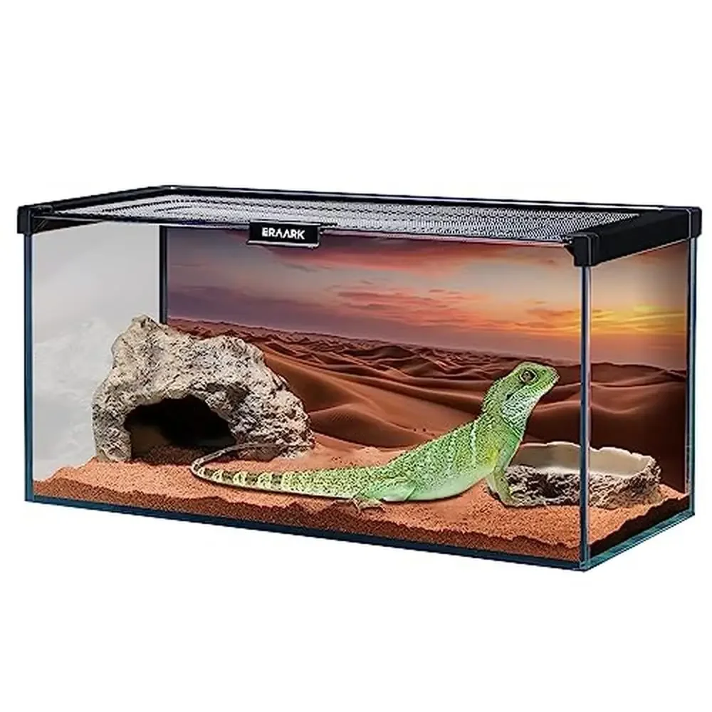 Glass Reptile Tank 4.5 Gallon with Top Ventilation Hide Cave Water Bowl Small Reptile Terrarium Bearded Dragon Lizard Spider