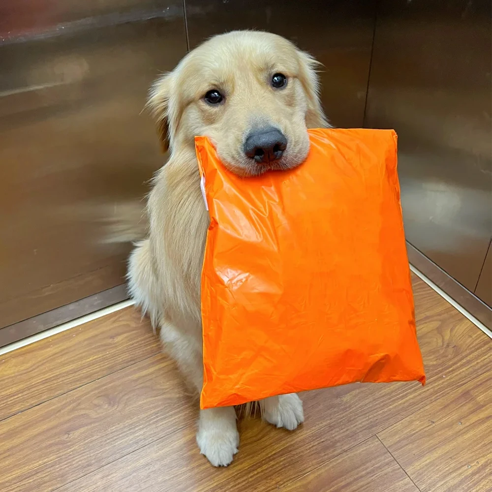 Sondr Fast Logistic Freight