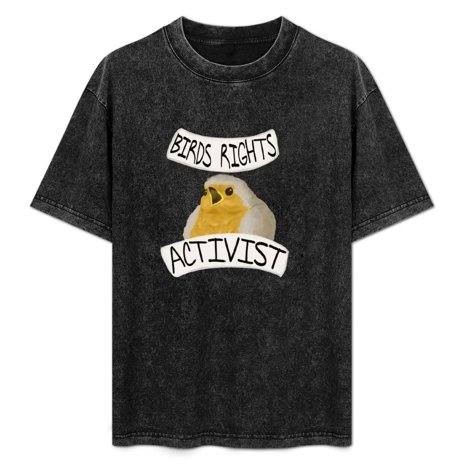 Pro Bird Rights T-Shirt Simple Graphic Design T-Shirt