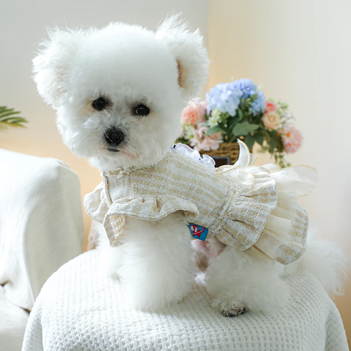 1PC Pet Clothing Spring and Autumn Gabrielle Dress Wedding Princess Dress Suitable for Small and Medium sized Dogs