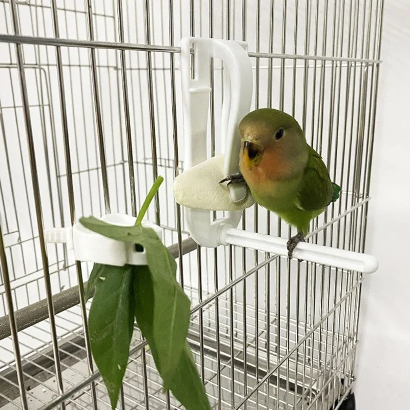 Birds Holder Pet Parrot Feeding Fruit Vegetable Clip Cuttlefish Bone Feeder Device Clamp Holder Hamster Bird Cage Accessori