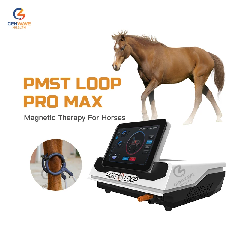 PMST Loop PEMF Therapy Magnetic Therapy Pain Relief Equine Therapy Physiotherapy Equipment