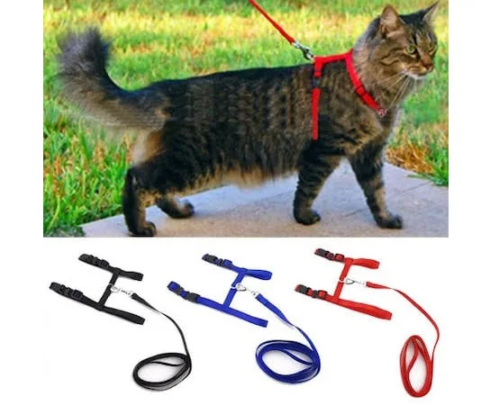 Cat Collar adjustable up to 120 cm (4 Colors)