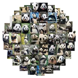 62pcs Cute Panda Graffiti stickers Notebook stationery decoration, personalized and creative DIY waterproof stickers