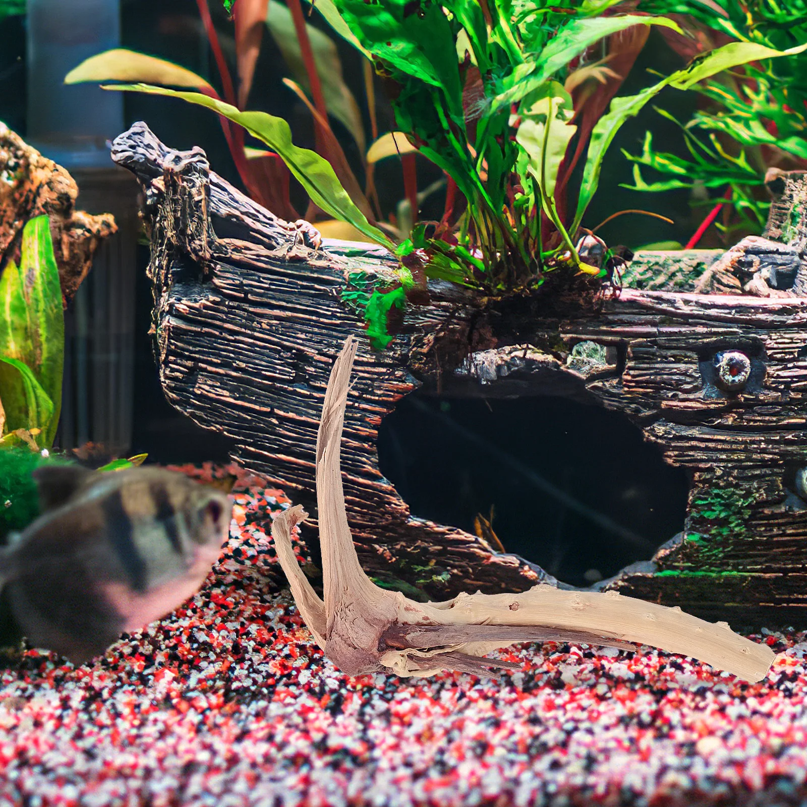 

Driftwood Branches for Freshwater Aquarium Fish Tank Decoration Wood pH Buffer Tannins Moss Anchor Non Toxic