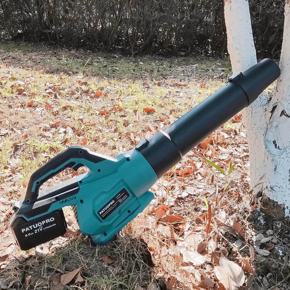 Рисунок 6 - Бесщеточный аккумуляторный электрический воздуходувка