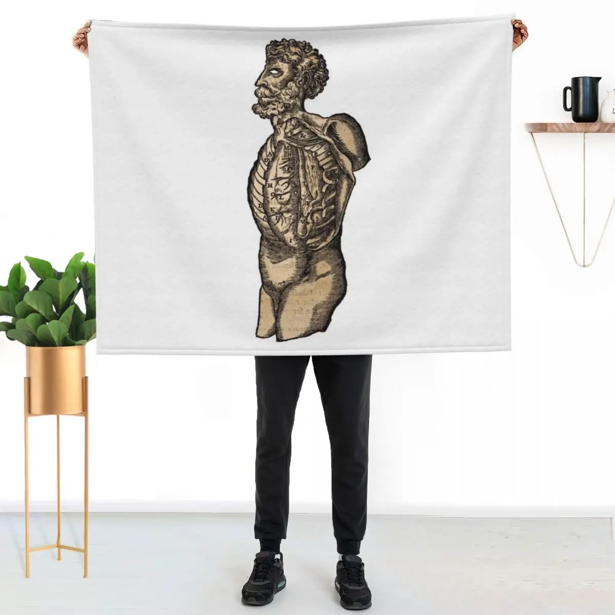 Vintage Human Torso Anatomy Illustration Throw Blanket couch cozy soft plush fuzzy picnic outdoor blanket