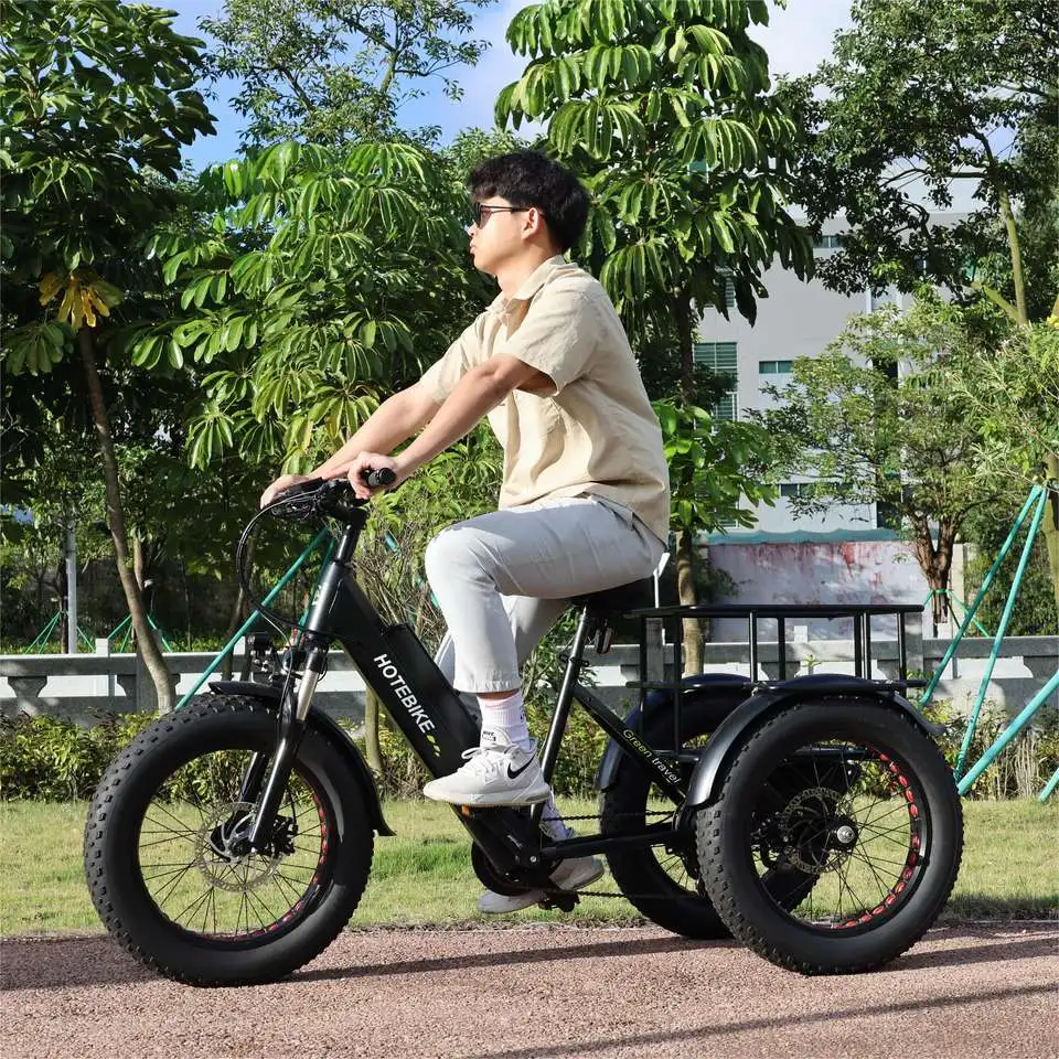 20 inch fat tire electric bike 3 wheels electric cargo bike 36V 48V 250W 350W 500W motor electric tricycle