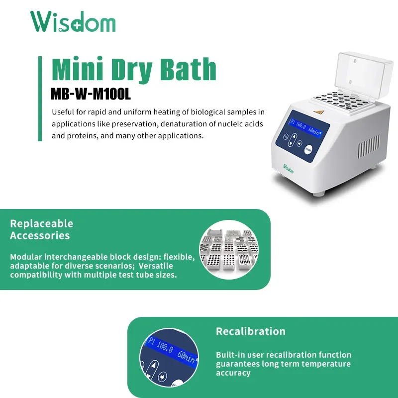 Riscaldatore a blocchi a secco per PCR compatto WISDOM 0-100 ° C±0,5 ° C Precision Magnetico per la ricerca di DNA/protezioni e laboratori accademici e clinici