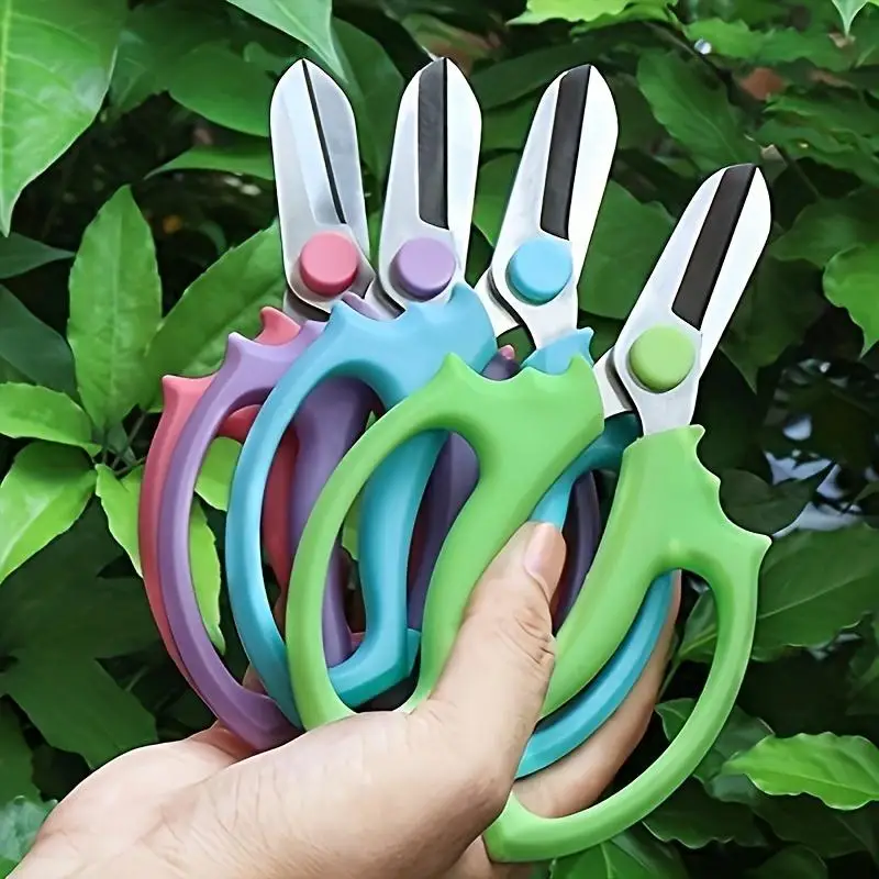 Stainless Steel Wide Blade Garden Scissors for Floral Arrangements and Pruning