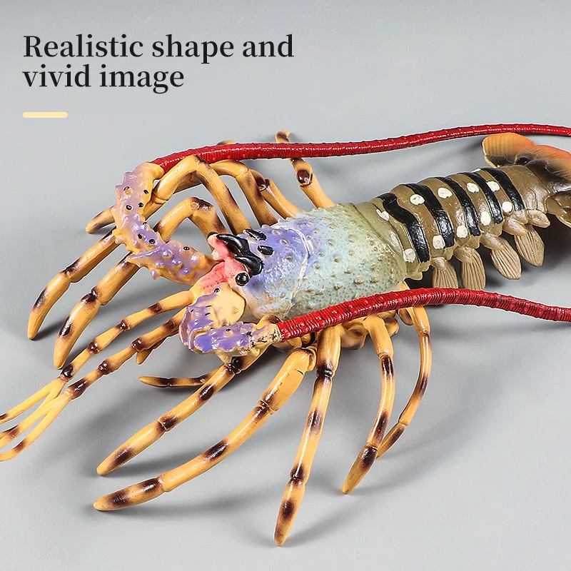 Zabawka symulacyjna dla dzieci - zwierzęta morskie - krab, homar, modele życia morskiego, figurki kolekcjonerskie, zabawka edukacyjna