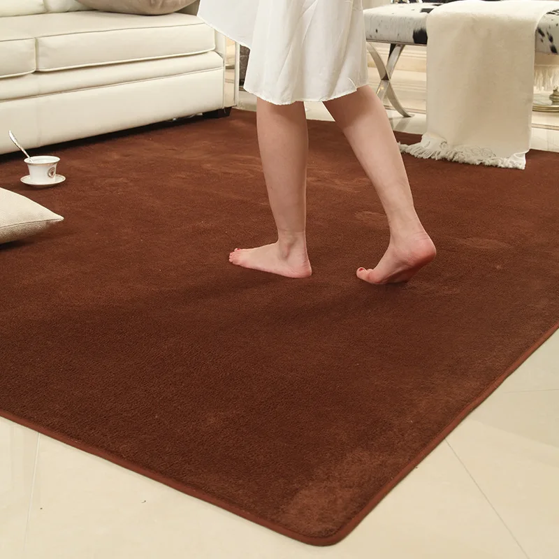 Soft Coral Fleece Carpet Foldable Thick Rug for Living Room Bedside
