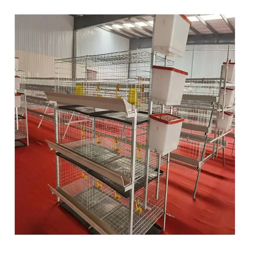 Frame three-dimensional broiler cage three-layer two-door broiler cage spot breeding equipment galvanized foreign trade breeding