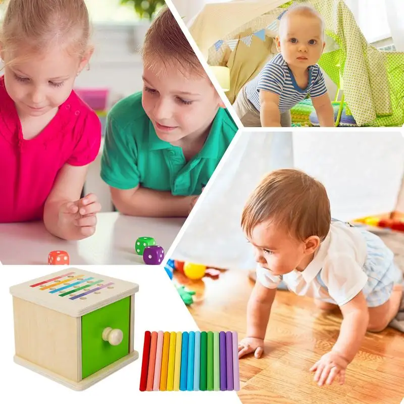 Toddler Sorting Toys Color Sorting Box Wood Matching Game Preschool Learning Activities Educational Toys Fine Motor Skills For