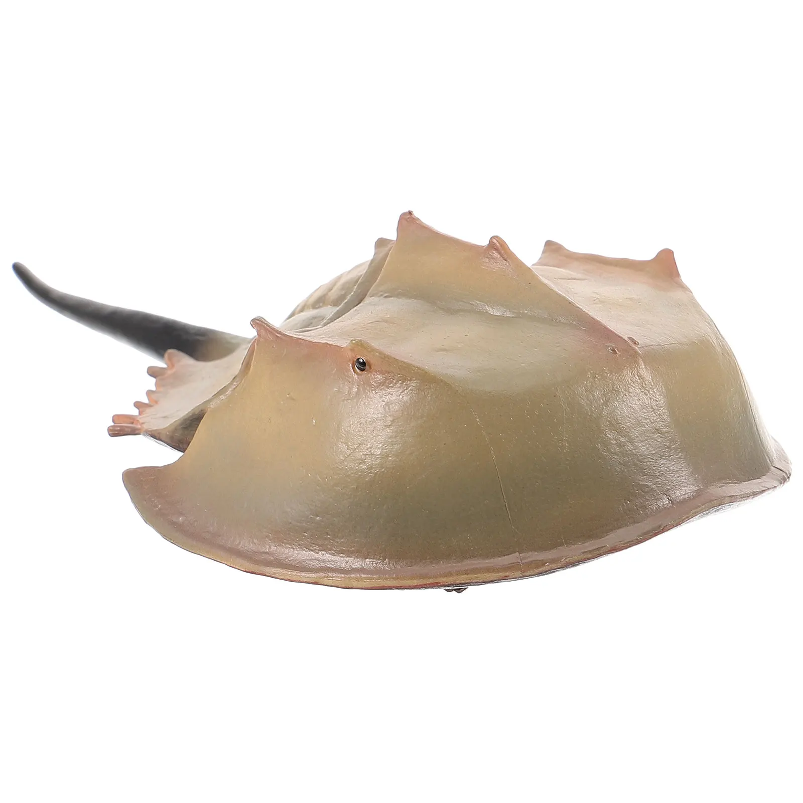 

Artificial Horseshoe Crab Fake Fish Decor Simulation Sea Animal Prop For Home Party Centerpiece Photography Plastic Fish