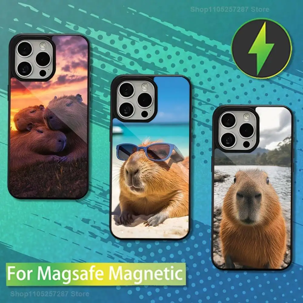 

Funny Animal Capybara Cute For iPhone 16,14,13,15,11,12,17,Plus,Mini, Pro,For Magsafe,Max,Magnetic Wireless Charging Case