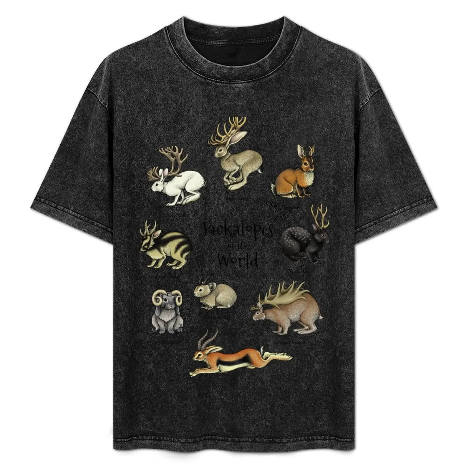 

Jackalopes of the World T-Shirt funny t shirts man man shirt summer shirt designer shirt heavy cotton T-Shirt