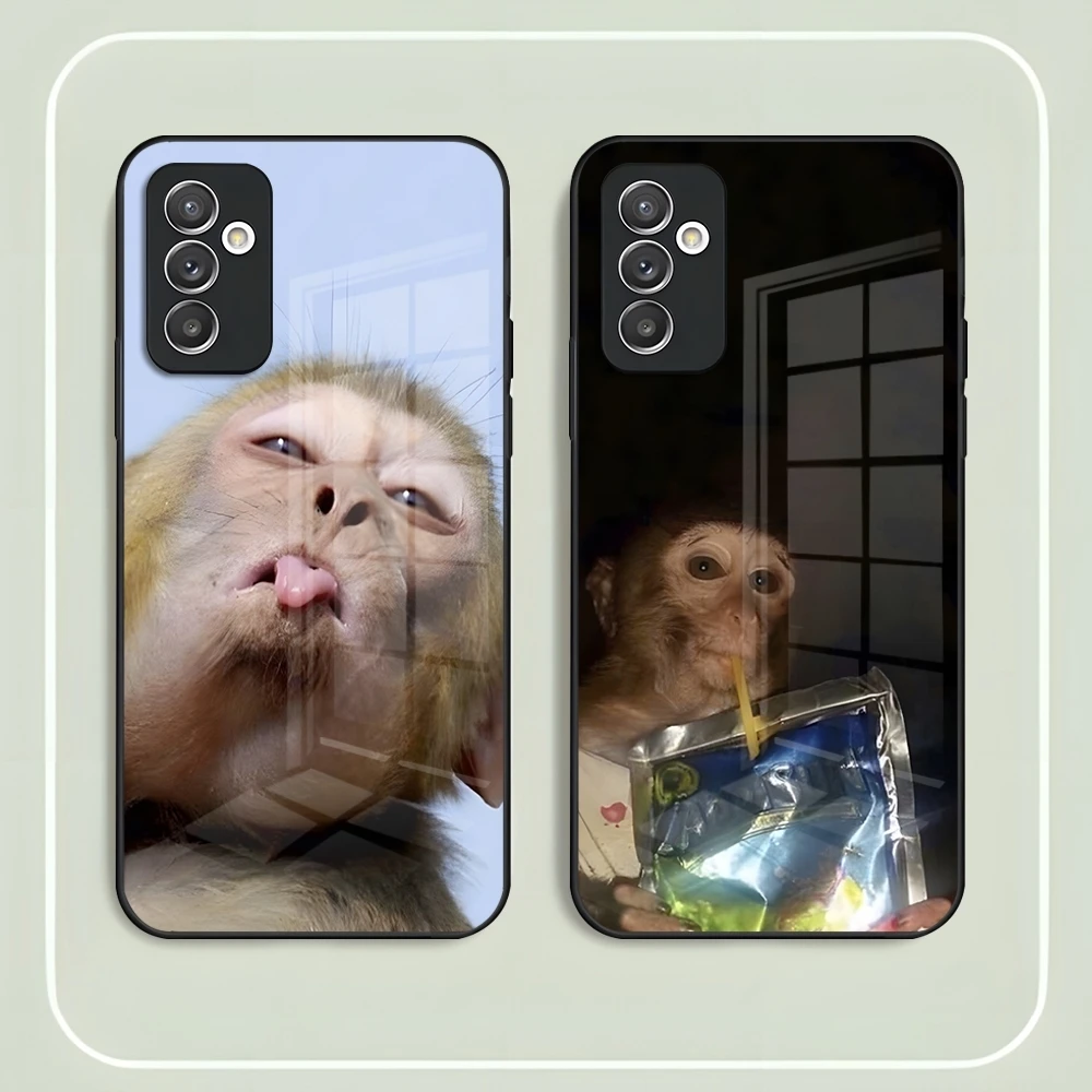 Funda de teléfono para Samsung, carcasa de Monkey Sipping, capris, Meme, S24 Ultra, S23, S22, S20 Fe, S21 Plus, Galaxy A54, A34, A24, A53, M54, Note 20